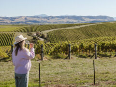A woman sipping wine in front of a vineyard in Marlborough New Zealand.