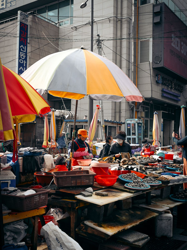 the Jagalchi Fish Market, South Korea