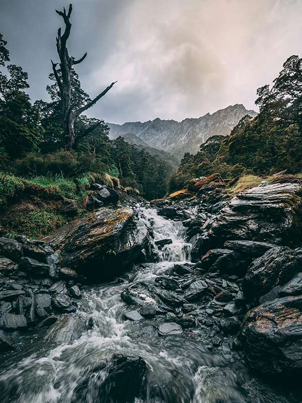 Mount Aspiring, west coast new zealand