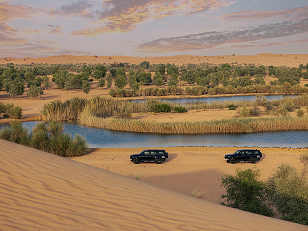 Royal Platinum Desert Experience with Hero Experiences.