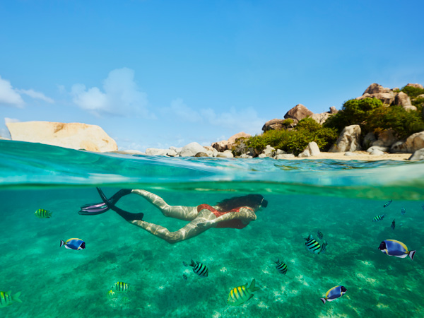 snorkelling in the Caribbean