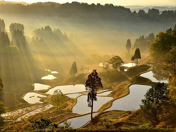 It is a rice terrace of Gamo in the Matsushiro district of Tokamachi City, Niigata Prefecture. Because it was a shooting in the early morning, the morning fog and the beam of light were seen. See it on your Japan Golden Route detours.