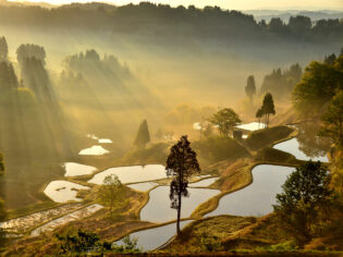 rice terrace of Gamo in the Matsushiro district of Tokamachi City, Niigata Prefecture