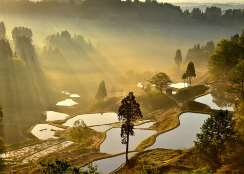 rice terrace of Gamo in the Matsushiro district of Tokamachi City, Niigata Prefecture