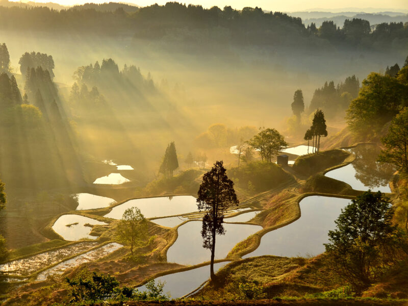 rice terrace of Gamo in the Matsushiro district of Tokamachi City, Niigata Prefecture