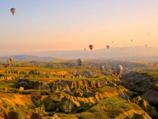 turkey