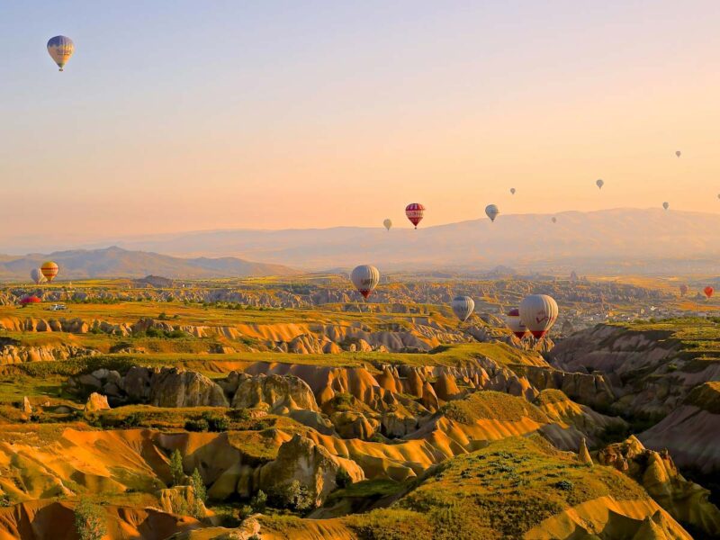 turkey