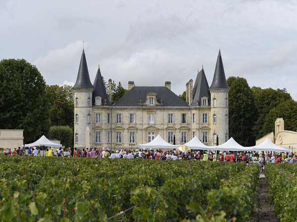 Runners in the Marathon du Médoc in Bordeaux, France
