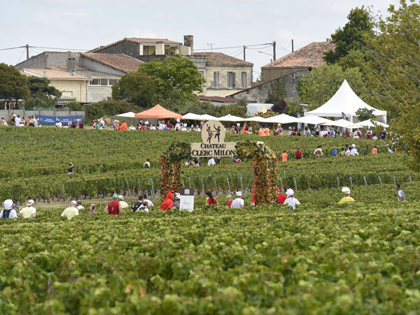 Runners in the Marathon du Médoc in Bordeaux, France