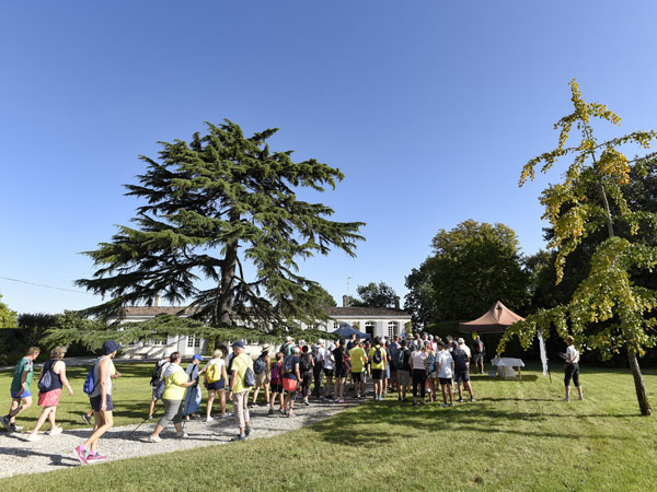 Runners in the Marathon du Médoc in Bordeaux, France