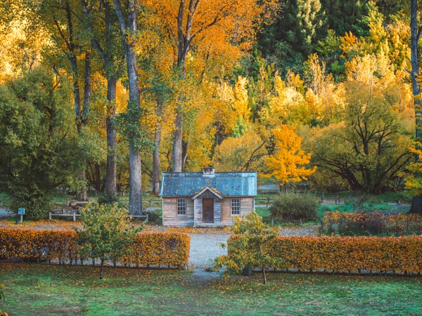 A little gold mining hut surrounded by autumnal leaves in Arrowtown - New Zealand
