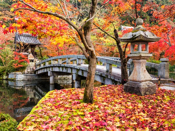Eikan-do Zenrinji shrine and bridge in garden at peak autumn foliage colors on late November with red maple carpet and reflection on pond, Kyoto, Japan.