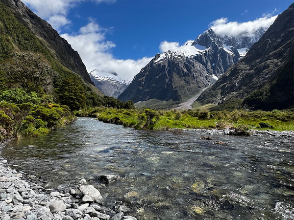 new zealand fjordlands backcountry