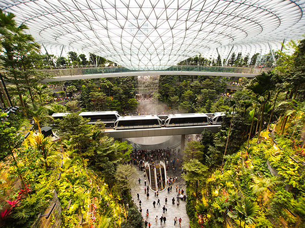 Interior view of Changi Airport during a Singapore Airlines Stopover, featuring lush indoor gardens and modern architecture.