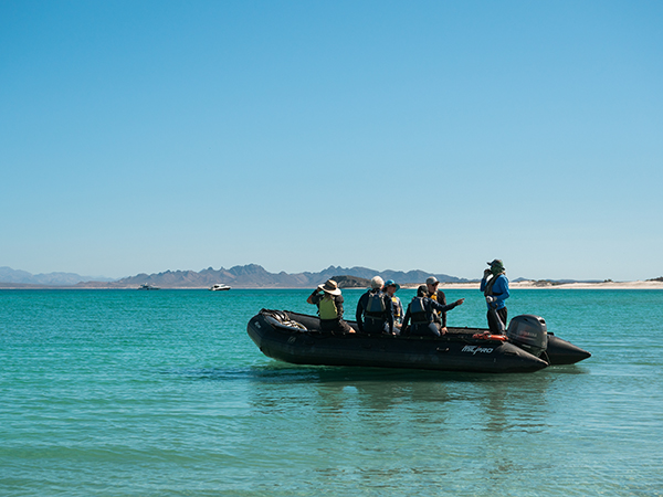 A group explores Bahía Agua Verde by skiff with UnCruise, surrounded by the stunning cliffs and turquoise waters of Baja California.