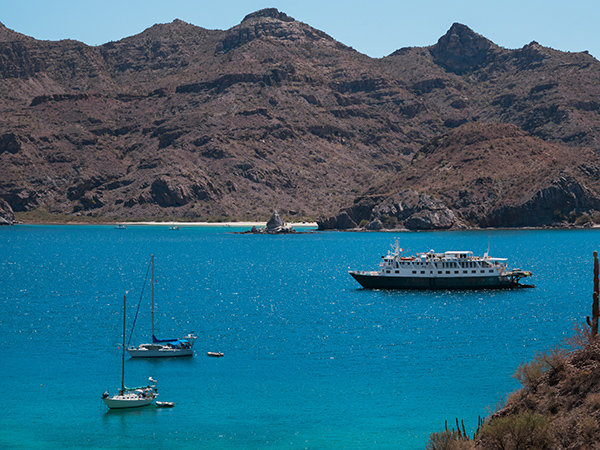 An UnCruise ship anchors in the brilliant blue waters of Honeymoon Cove, framed by Isla Danzante’s rugged cliffs, showcasing the beauty of Baja California with UnCruise.