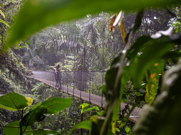 women traversing the Mistico Hanging Bridges in La Fortuna, Costa Rica