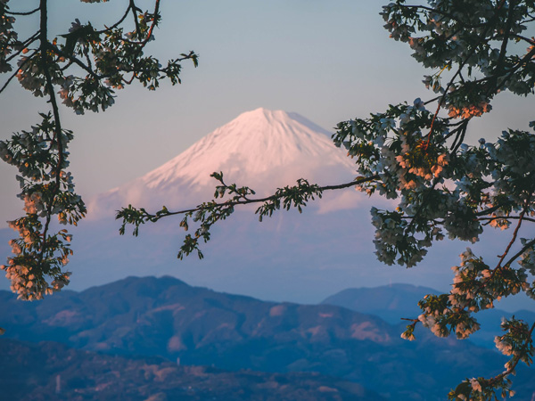 Mt Fuji in Japan
