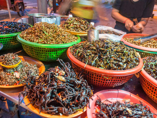 fried insects in Cambodia
