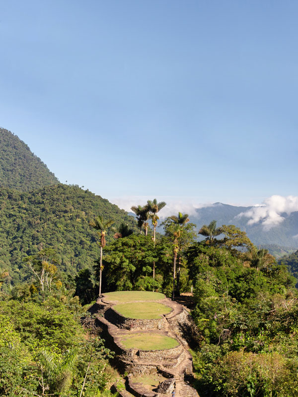the terraces of Lost City, Colombia