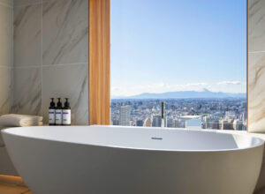 Take a bath with views of Mt Fuji at this luxury hotel in Tokyo