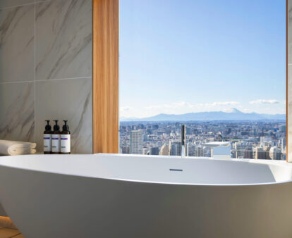 Take a bath with views of Mt Fuji at this luxury hotel in Tokyo