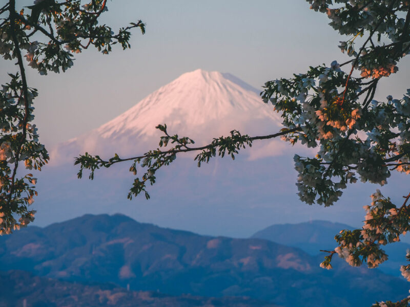 Mt Fuji in Japan