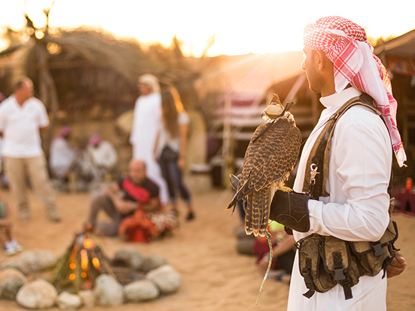 man holding falcon with tour group on a stopover with Hero Experiences