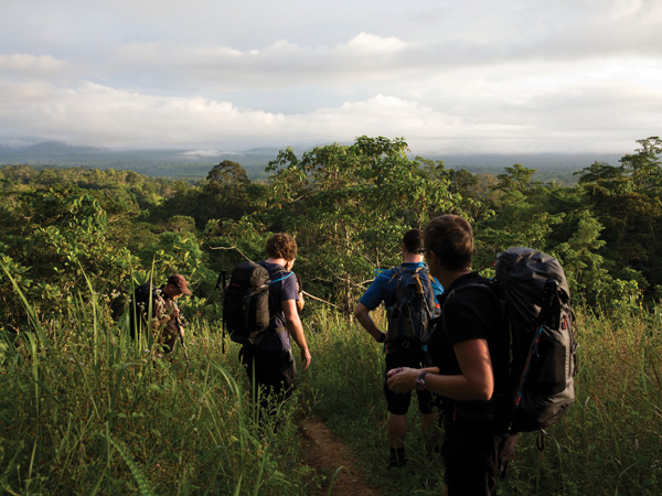 hikers navigating the Kokoda Track Walk, Papua New Guinea