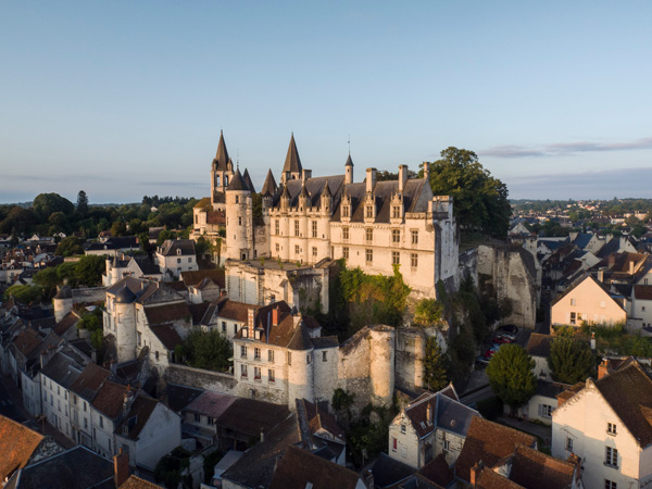 Château d’Amboise pictured from above