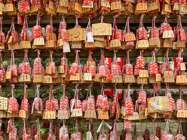 offerings at the temple, Shikoku Henro