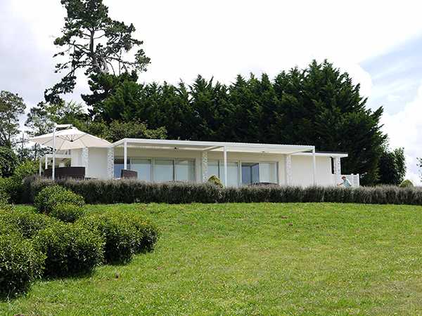 The lush grounds of the Zealong Tea Estate.