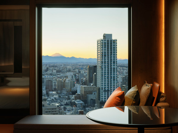 Hyatt Regency Tokyo in Japan