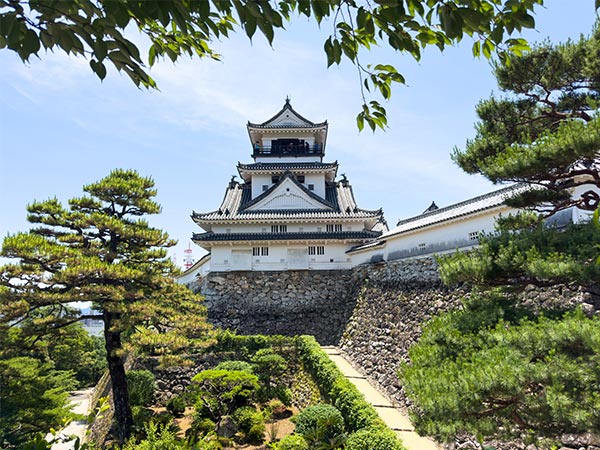 Kochi castle