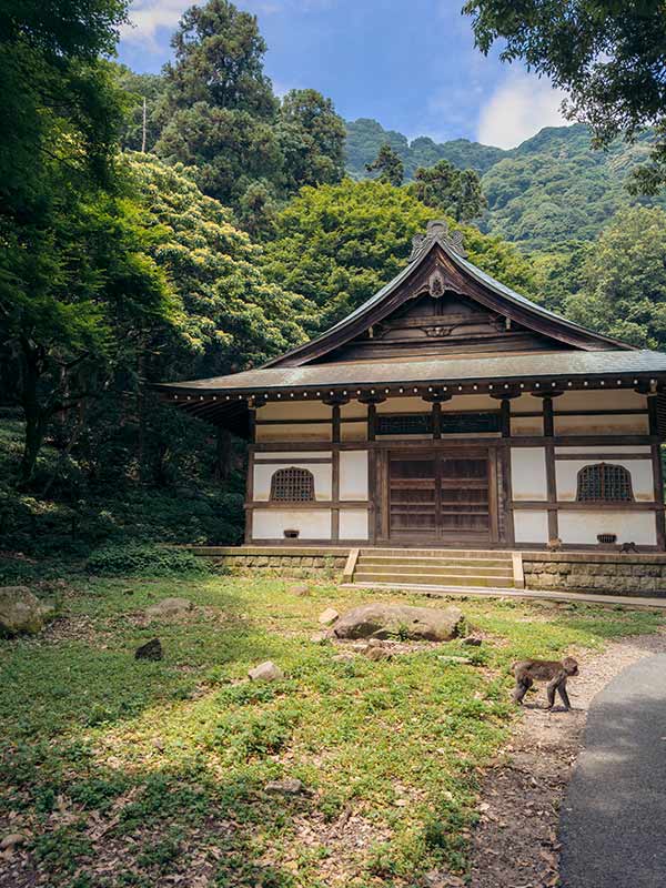 Takasakiyama Monkey Park