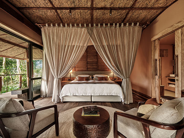 Gorilla Forest Lodge room