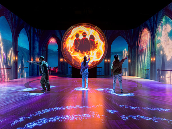 Harry Potter: Visions of Magic