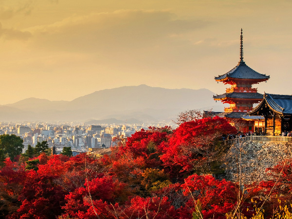 Beautiful sunset view of Kiyomizu dera temple and Kyoto city with red maple autumn leaf, Japan. The temple vibrant red and orange pagoda stands out against a clear sky with colorful fall foliage .