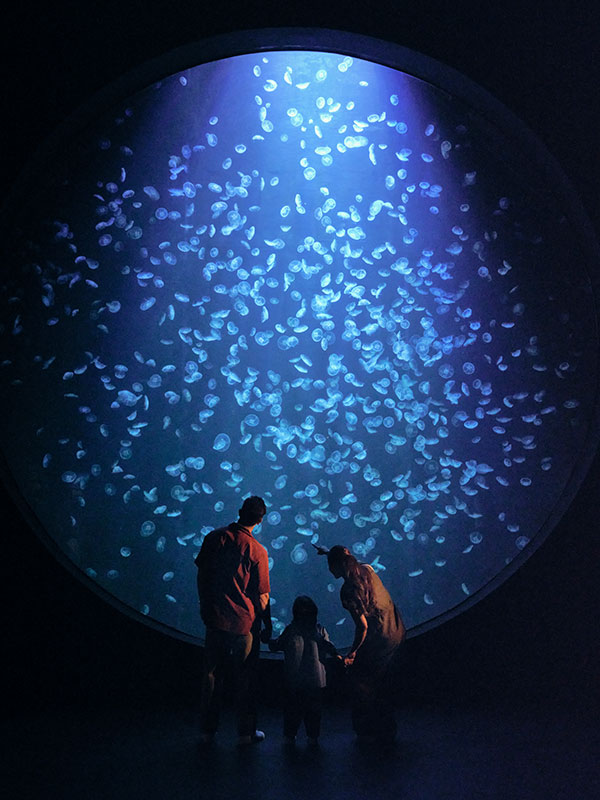 Singapore Oceanarium Ocean Wonders zone