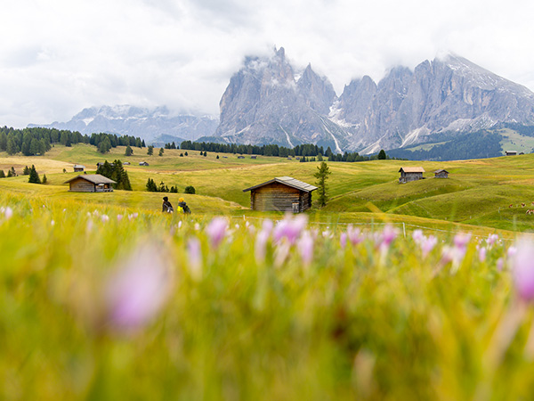 Alpe di Siusi