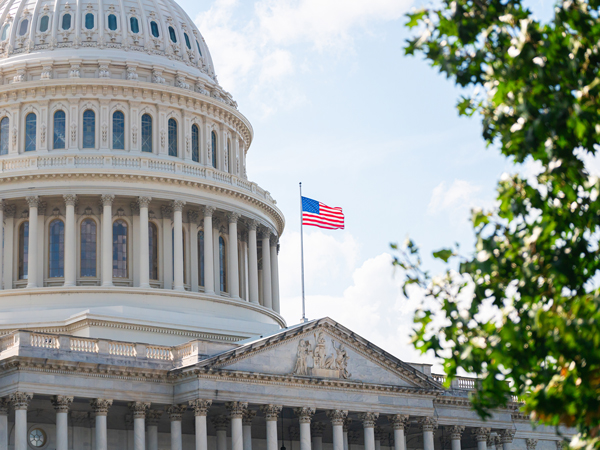 United States Congress building in Washing DC, USA