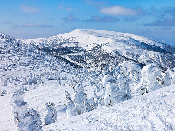 ‘snow monsters’ Hokkoda Mountain Range