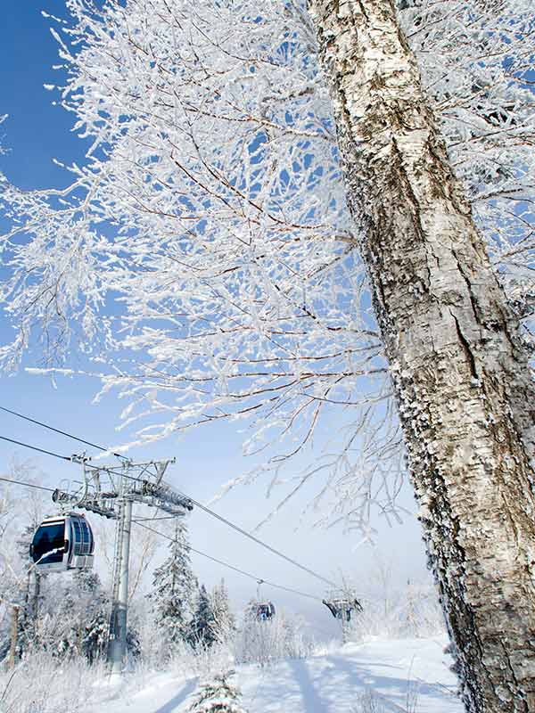 ski chair lift along the Songhua River in winter