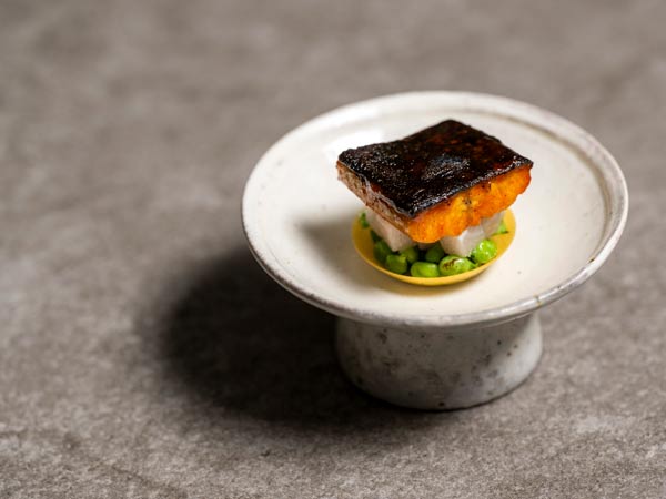 Yellowtail Freshwater Eel,