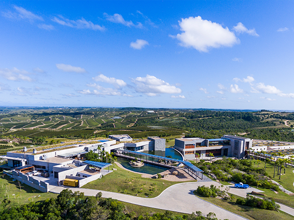 worlds 50 best vineyards