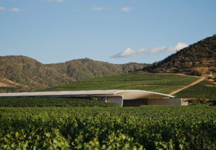 worlds 50 best vineyards