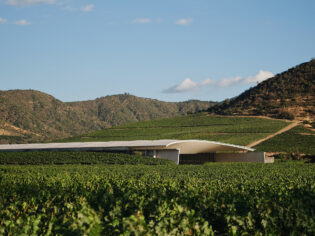 worlds 50 best vineyards