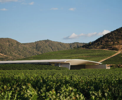 worlds 50 best vineyards