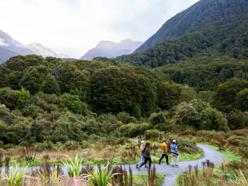 Hikers in Wanaka Otago on The Blue Pools Track