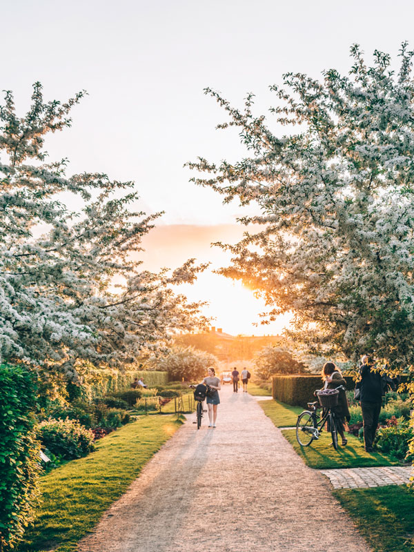 King&rsquo;s Garden, Copenhagen